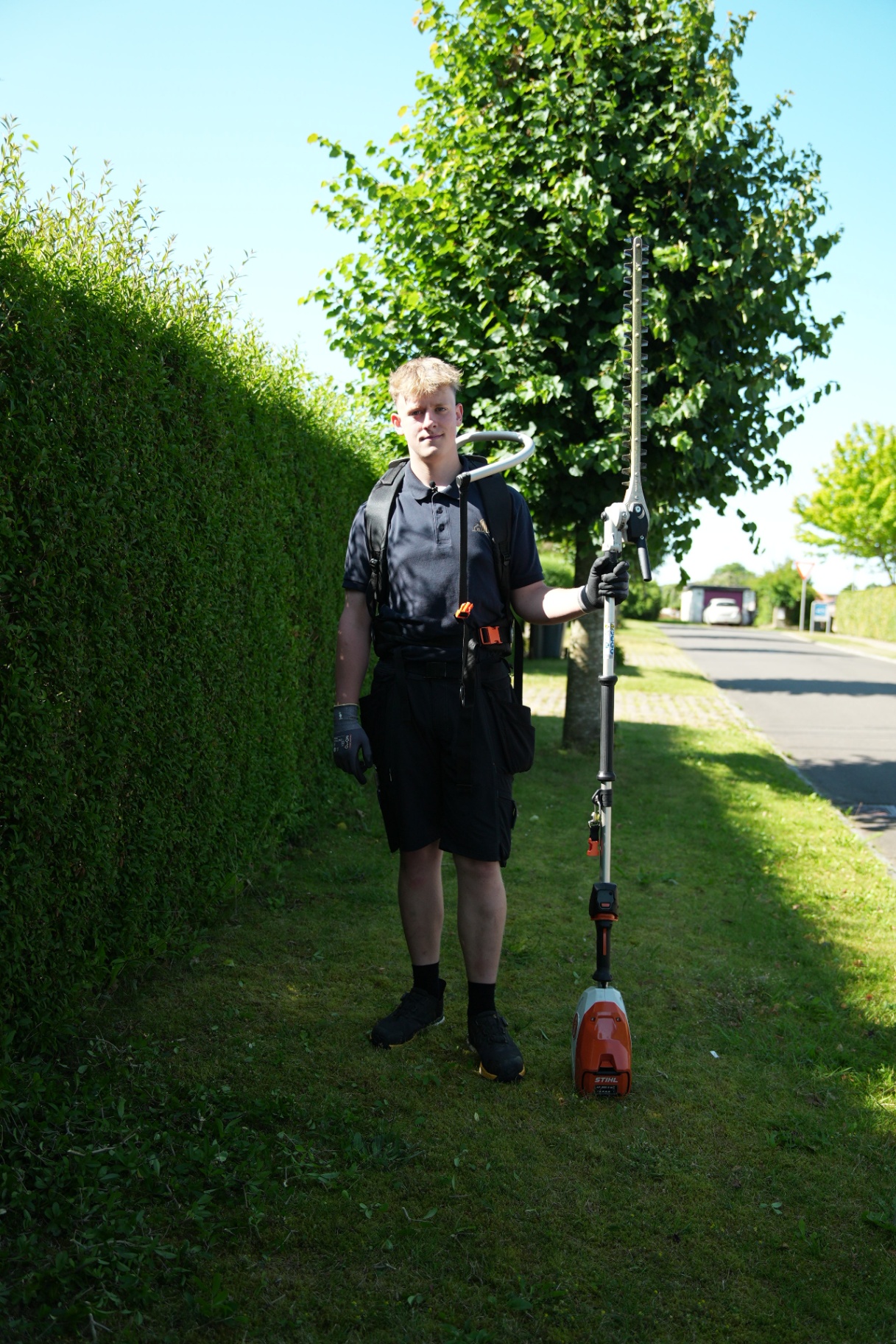 Hækkeklipning langs indkørsel